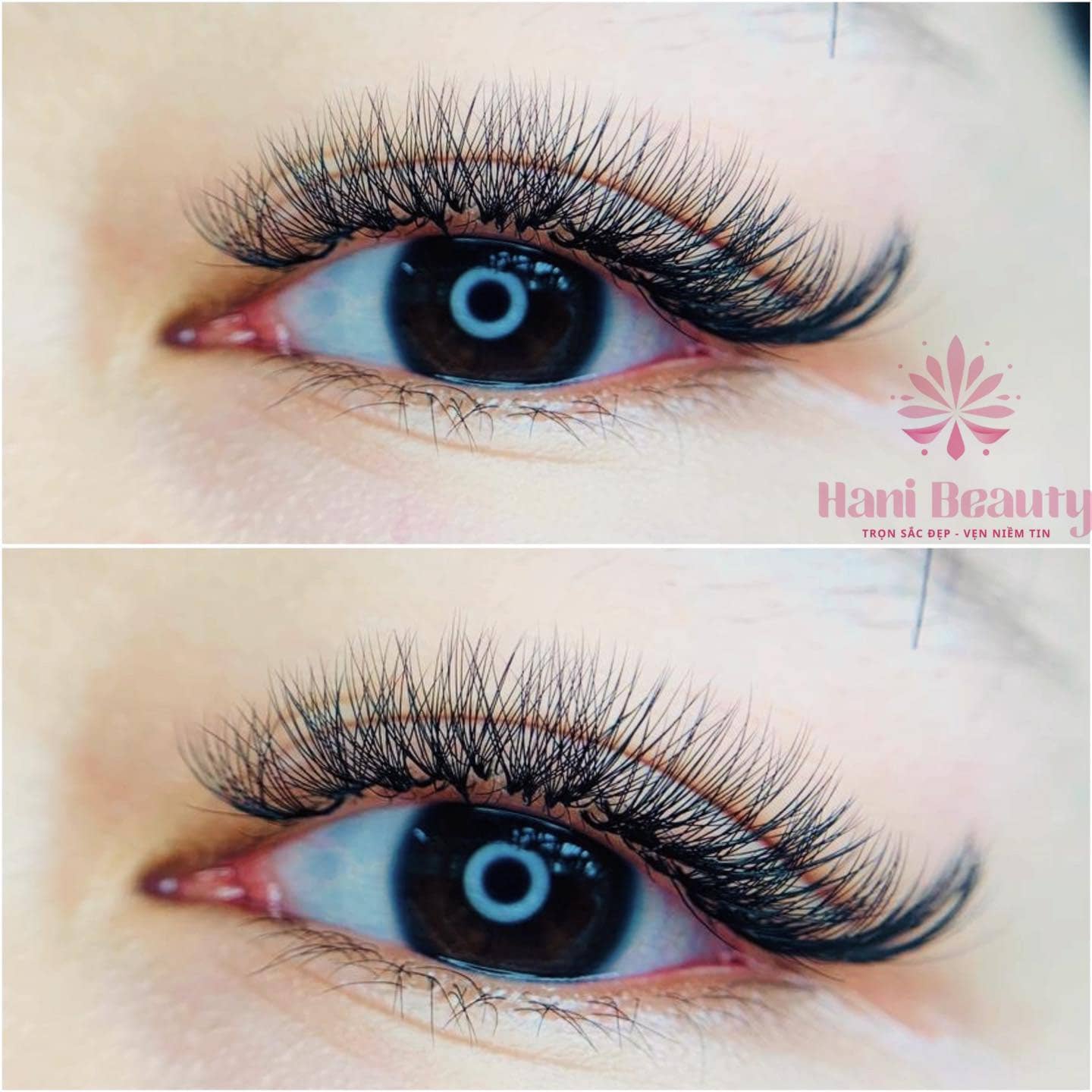 Liên hệ Hani Beauty tại TP.HCM: hotline, email và địa chỉ để đăng ký khóa học nối mi chuyên nghiệp