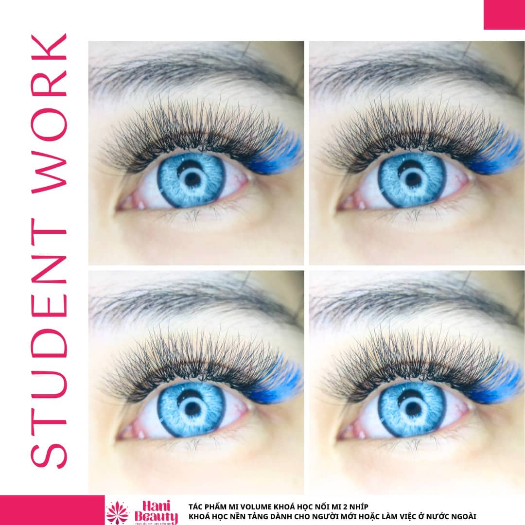 Lộ trình học nối mi căn bản cho người mới đến nâng cao, chuyên sâu và mở rộng tại Hani Academy.