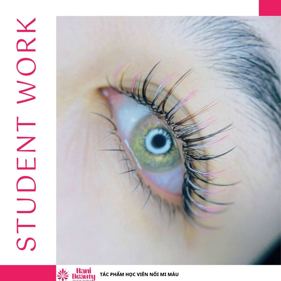 Lộ trình học bài bản từ manocanh đến khách thật giúp học viên thực hành nối mi nối mi màu hiệu quả, rèn kỹ năng tay nghề.