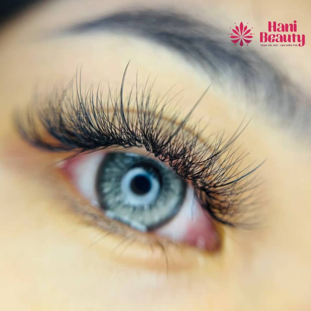 Học nối mi tại Hani Academy: học phí minh bạch, cơ sở hiện đại, chương trình chuẩn quốc tế, bảo hành kiến thức trọn đời.